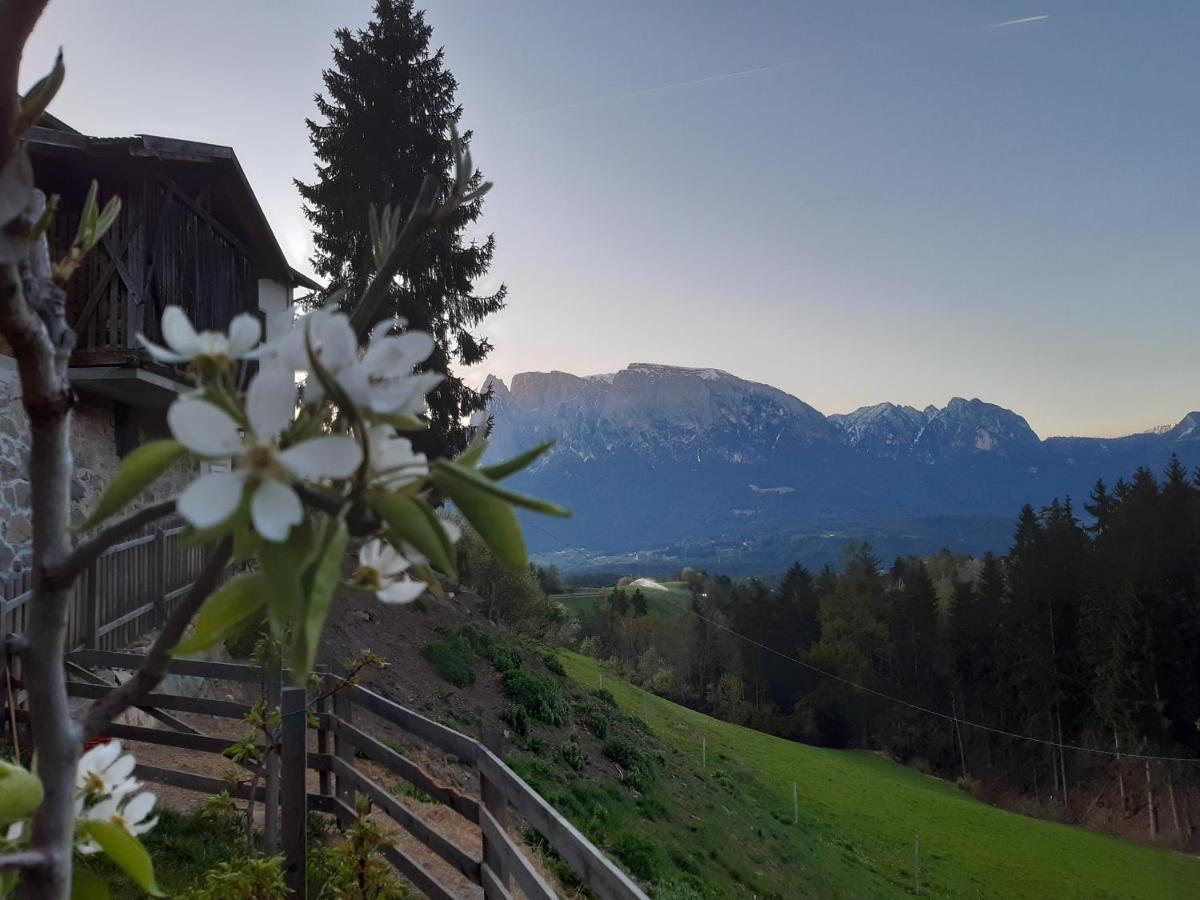 Koebl Hof Longostagno Exteriér fotografie